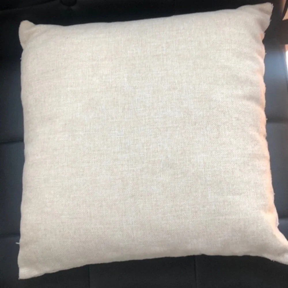 OWL Accent Pillow!